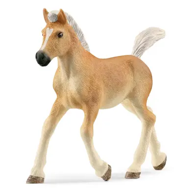 schleich hříbě haflinga 13951