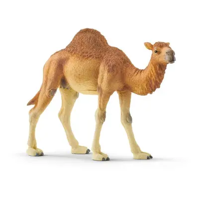 Schleich 14832 Wild Life Dromedary