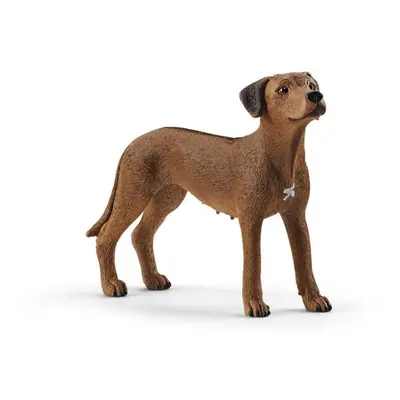 Schleich 13895 Farm World Rhodesian Ridgeback