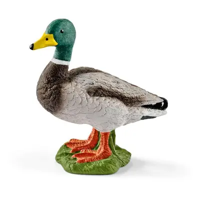 Schleich 13824 Kačer