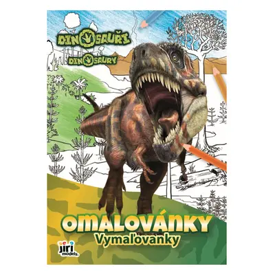 Omalovánka A4 Dinosauři