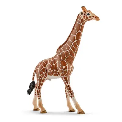 Schleich 14749 Žirafa samec