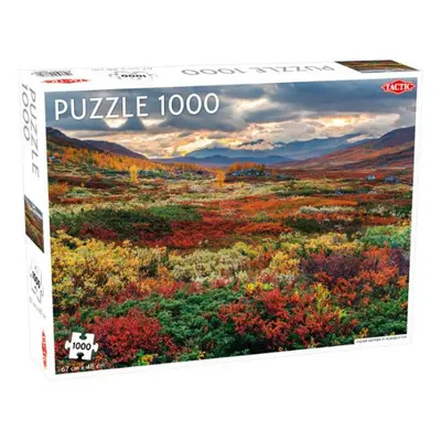 Puzzle 1000 dílků Around the World, Northern Stars: Indian Summer in Norrbotten TACTIC