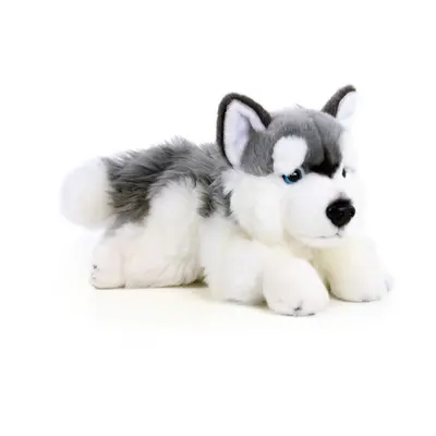 Plyšový pes husky ležící, 30 cm