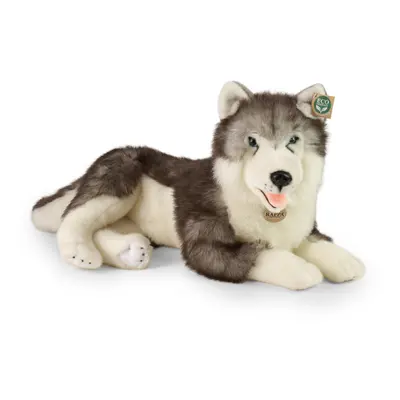 Plyšový pes husky ležící 60 cm ECO-FRIENDLY