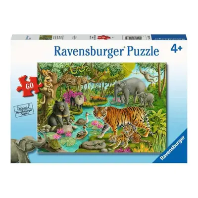 Puzzle 60 dílků Zvířata z Indie. Zvířata z Indie 051632 Ravensburger