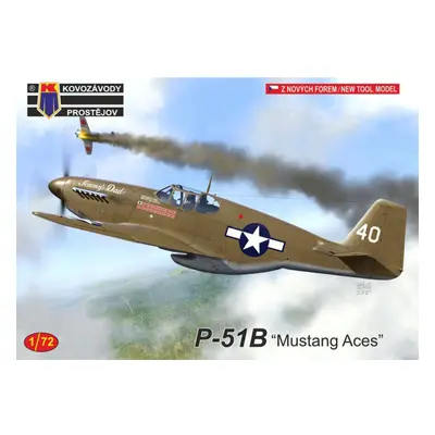 P-51B Mustang Aces