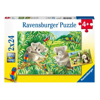 Ravensburger Koaly a p,y 2 x 24 dílků