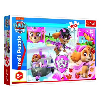 Trefl Paw Patrol Tlapková patrola Skye v akci 16368 100 dílků