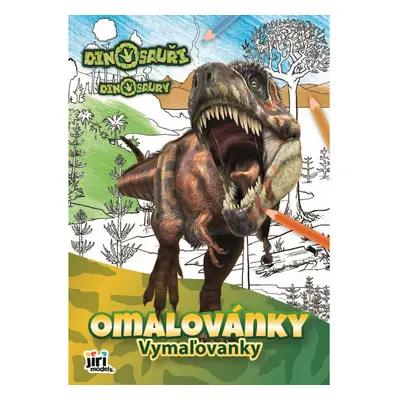 Omalovánka A4 Dinosauři