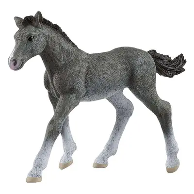 Thrácké hříbě | Horse Club | Schleich