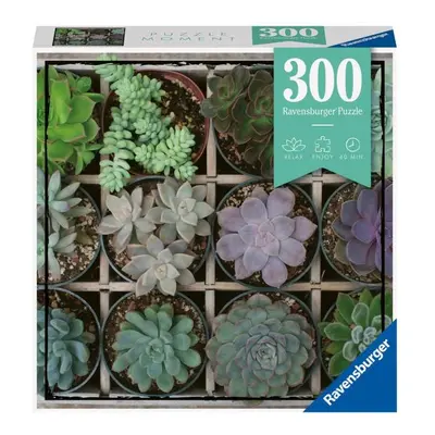 Ravensburger: Puzzle 300 ks - Moment 4