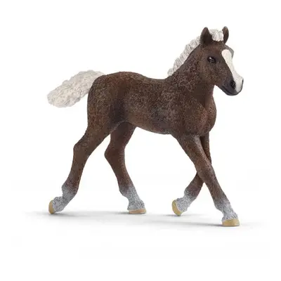 Schleich Schwarzwaldské hříbě