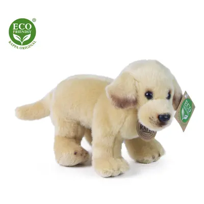 Plyšový labrador stojící 20 cm ECO-FRIENDLY