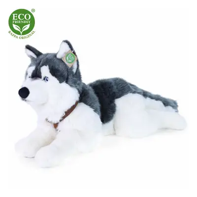 Eco-FriendlyRappa pes husky s obojkem ležící 60 cm