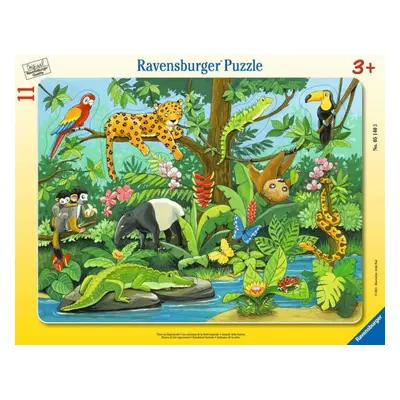 Ravensburger vkládačka zvířátka z deštného pralesa 11 dílků