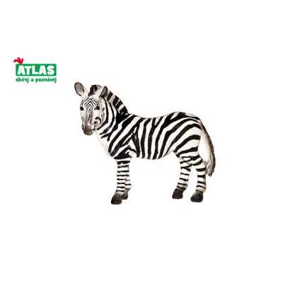 Atlas D Zebra 10 cm