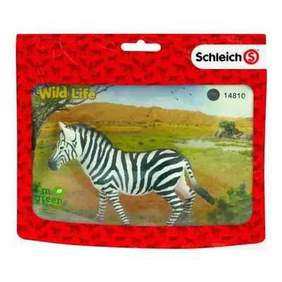 Schleich Wild Life zebra