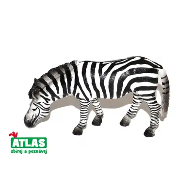 Atlas C Zebra 11 cm