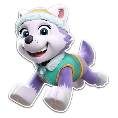 Nástěnná dekorace Paw Patrol Everest