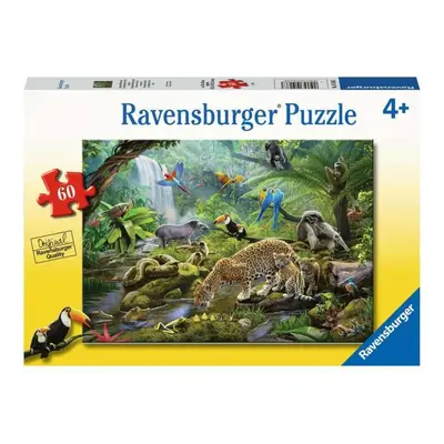 RAVENSBURGER Zvířata v deštném pralesu 60 dílků