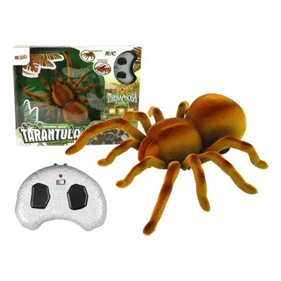 RC pavouk tarantule hnědá