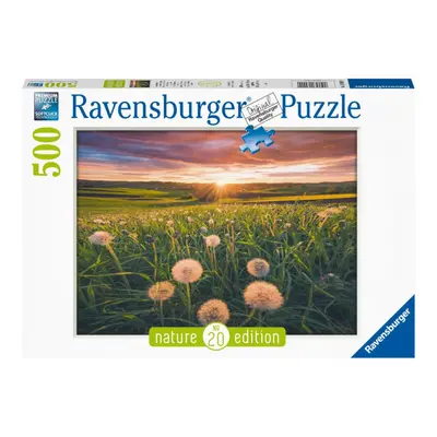 RAVENSBURGER Pampelišky v západu slunce 500 dílků