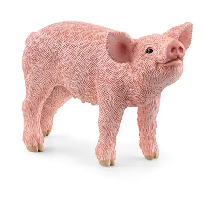 Schleich Prasátko 13934