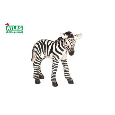 Atlas B Zebra hříbě 7 cm