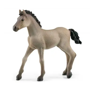 Schleich 13949 Hříbě Criollo Definitivo