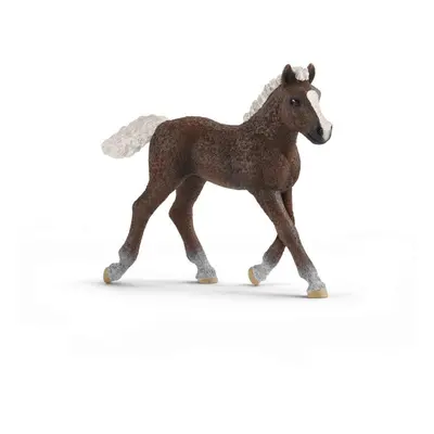 Schleich 13899 Farm World Black Forest Foal