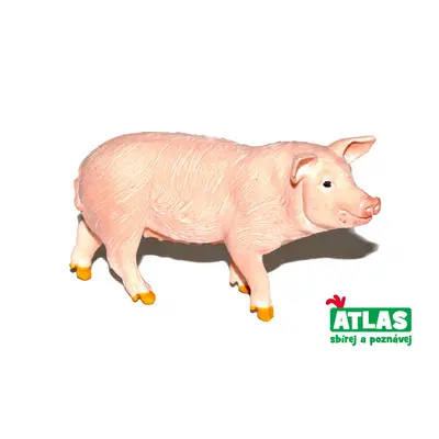 Atlas B Prase 9 cm