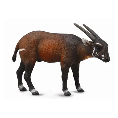 Saola