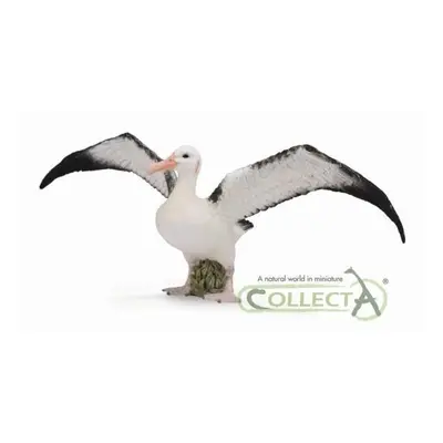 Toulavý Albatros COLLECTA