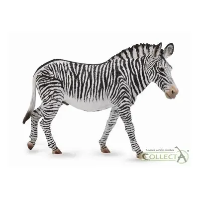 Zebra Grevyho COLLECTA