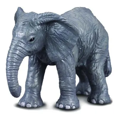 Slon africký COLLECTA