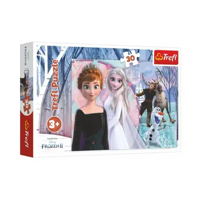 Trefl Frozen 2 Ledové království 18275 30 dílků