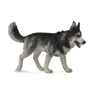 Collecta Sibiřský husky