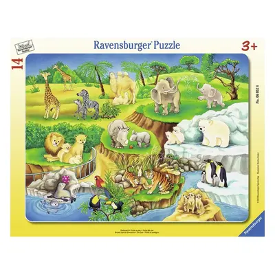 Ravensburger ZOO rámové 14 dílků