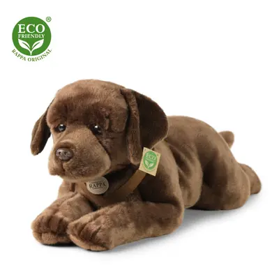 Eco-Friendly RAPPA pes labrador 61 cm