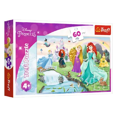 TREFL Seznamte se s Disney princeznami 60 dílků