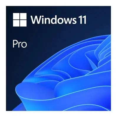 Windows 11 Pro 64-bit CZ - USB (HAV-00178)