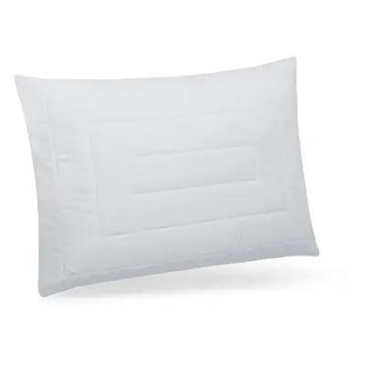 Ložnice21. Polštář Climasleep Rozměr: 40x60 cm zip+vak (500 g)