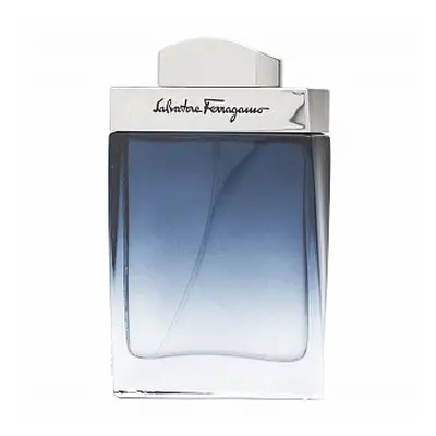 Salvatore Ferragamo Subtil Pour Homme toaletní voda pro muže 50 ml