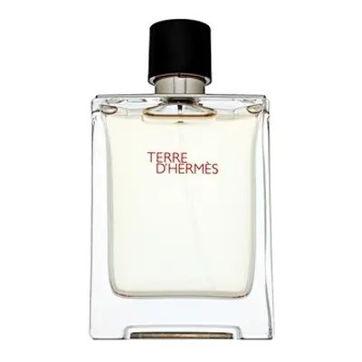 Hermès Terre D'Hermes toaletní voda pro muže 100 ml