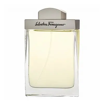 Salvatore Ferragamo Pour Homme toaletní voda pro muže 100 ml