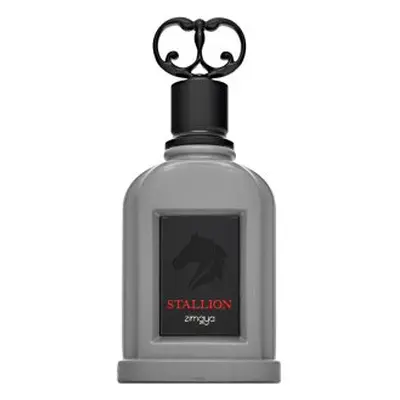 Zimaya Stallion parfémovaná voda pro muže 100 ml