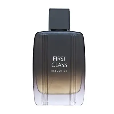 Aigner First Class Executive toaletní voda pro muže 100 ml