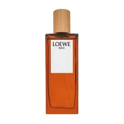 Loewe Solo Loewe Pour Homme toaletní voda pro muže 50 ml