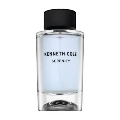 Kenneth Cole Serenity toaletní voda pro muže 100 ml